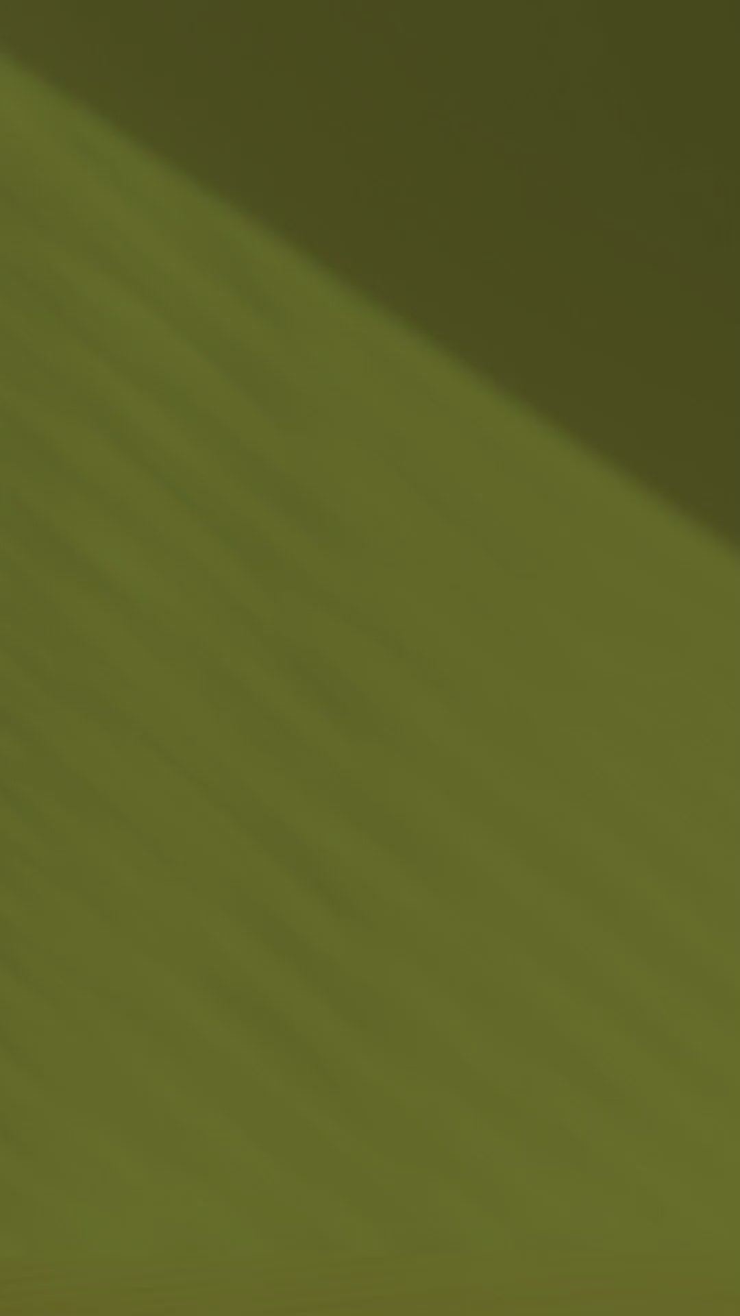 Serene StepWood Mandir with Minimalist Carved Doors & Brass Touch Accents